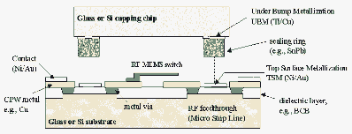 RF-MEMS switch